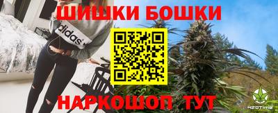 гидра Будённовск