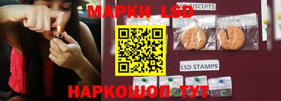 гидра Будённовск