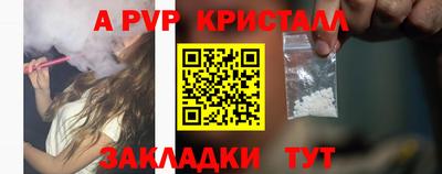 гидра Будённовск